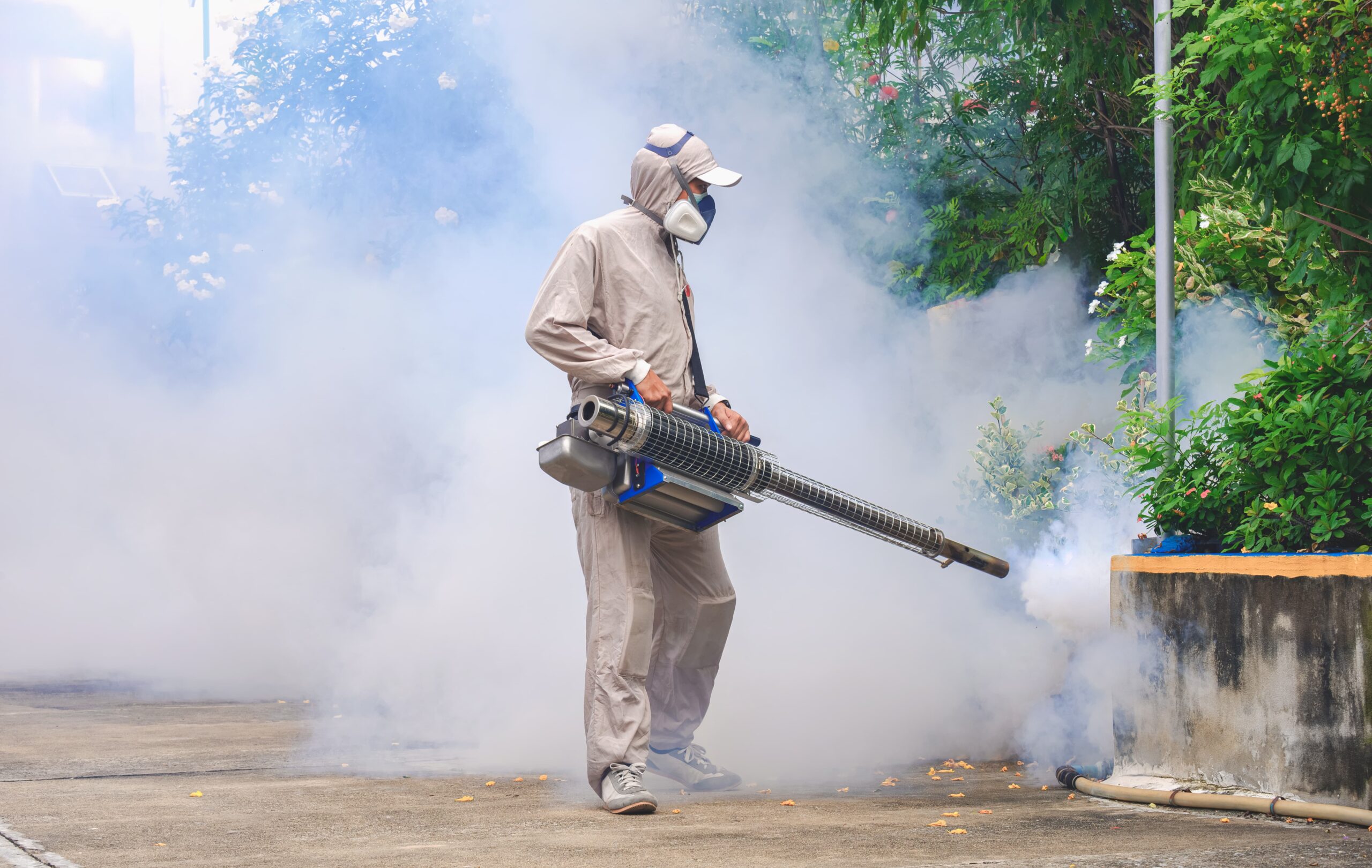 Image of Mosquitoes & Fly Prevention
