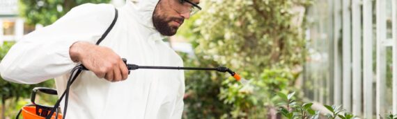 Why November Is Prime Time for Attic & Crawl Space Inspections