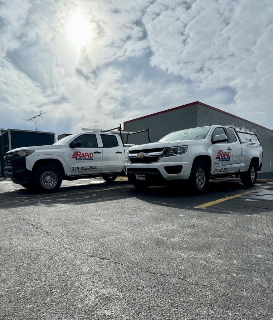 Image of Ant Prevention Methods