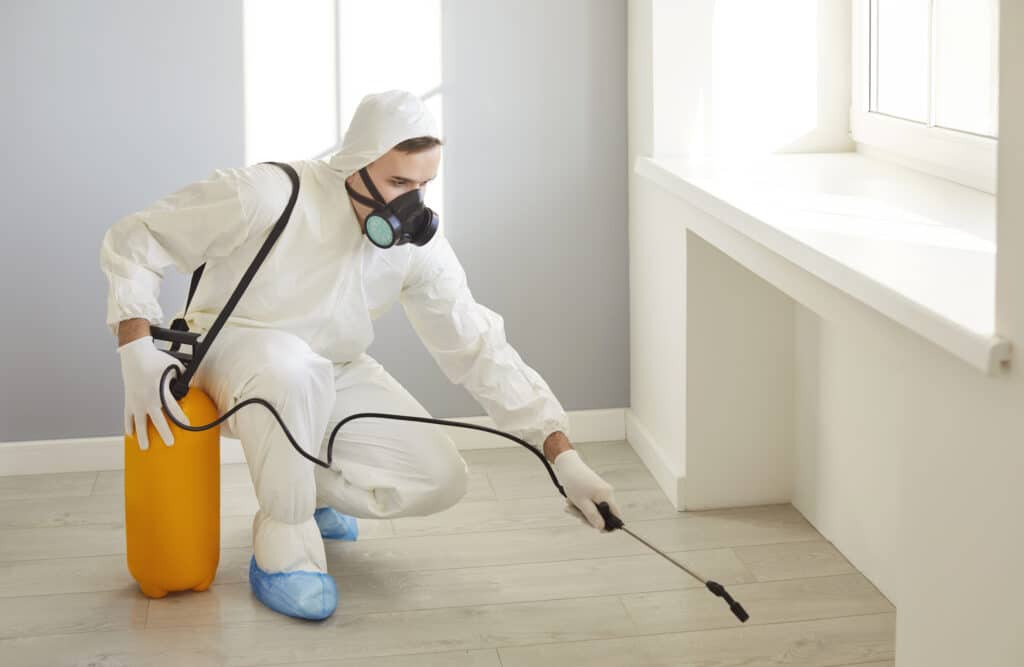 Image of Mosquitoes & Fly Prevention