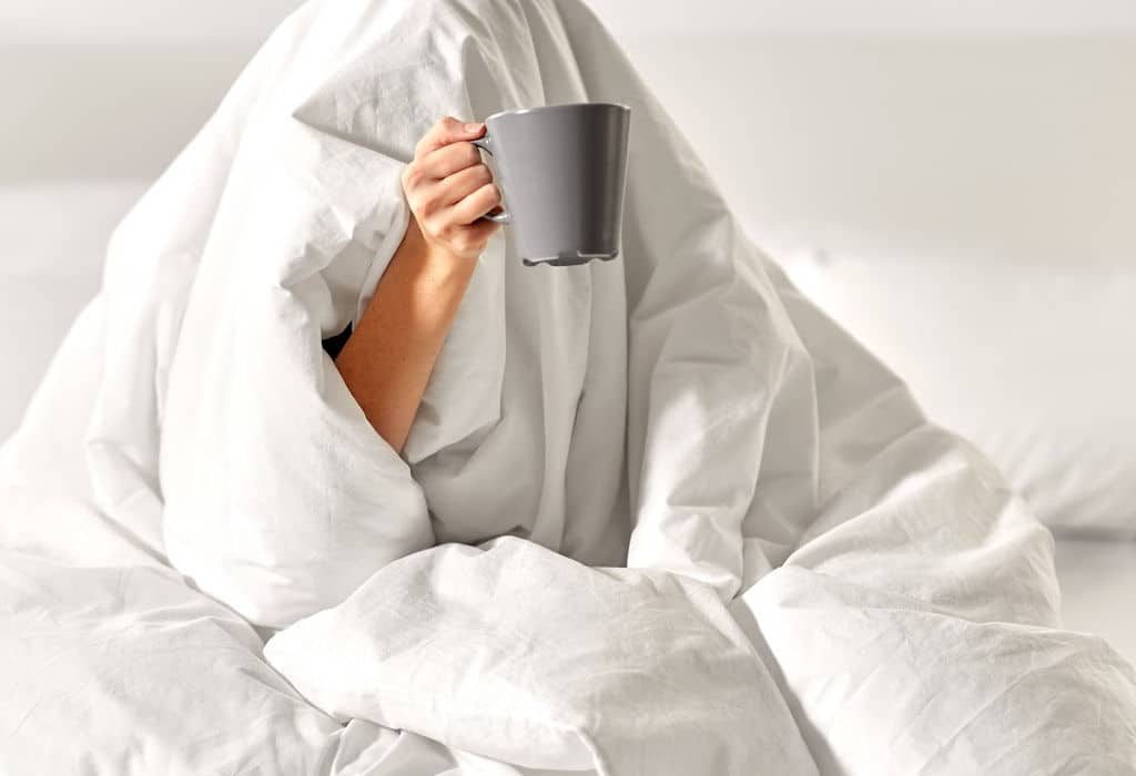 bed bugs 4 - Schererville, IN